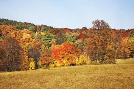 Landscape near Bojnice. Slovakiaの写真素材