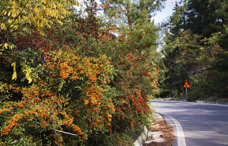 Road to Macedonia in Evzonoi. Greece