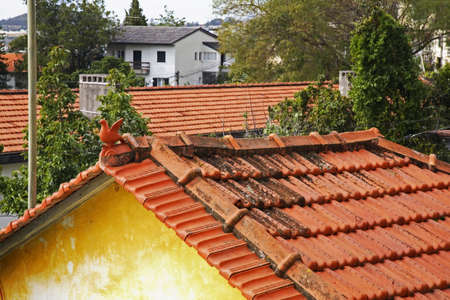 Fragment of roof in Lvramento. Funchal. Madeira island. Portugalの写真素材
