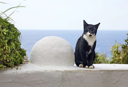 Mother of God Monastery in Palaiokastritsa. Greeceの写真素材
