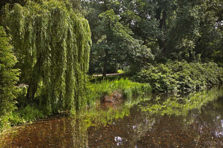 Grosser Tiergarten park in Berlin. Germanyの写真素材