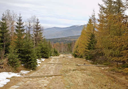 Karkonosze mountains near Karpacz. Polandの写真素材