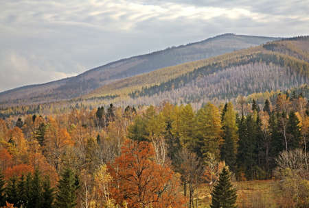 Karkonosze mountains near Karpacz. Polandの写真素材