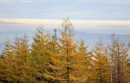 Karkonosze mountains near Karpacz. Polandの写真素材