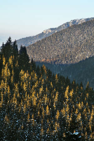 View of Low Tatras near Zahradky. Slovakiaの写真素材
