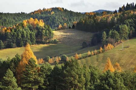 Landscape near Zlockie village. Muszyna district. Poland