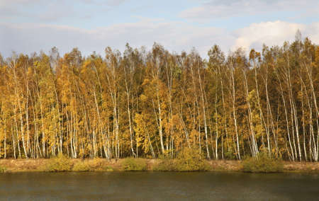 Landscape near Myshenki village. Tula oblast. Russiaの写真素材