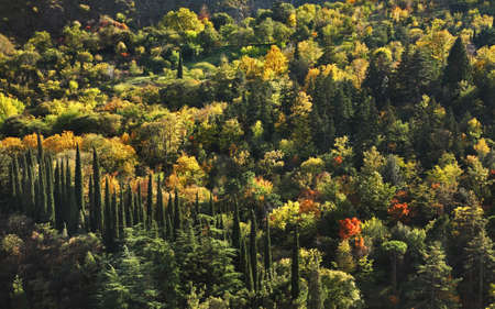 Botanical garden in Tbilisi. Georgiaの写真素材
