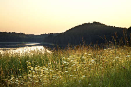 Hijgora mountain near Maselga village. Kargopol district. Arkhangelsk Oblast. Russiaの写真素材