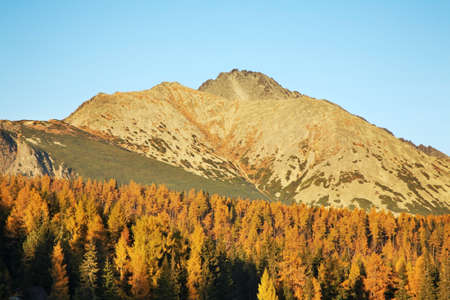 View of High Tatras near Strbske Pleso lake. Slovakiaの写真素材
