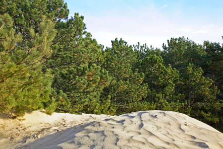 Landscape near Ustka. Polandの写真素材