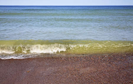View of Curonian Spit. Kaliningrad Oblast. Russia