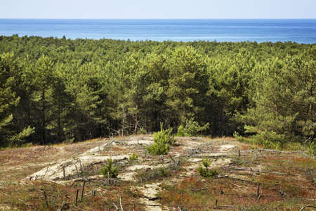 View of Curonian Spit. Kaliningrad Oblast. Russiaの写真素材