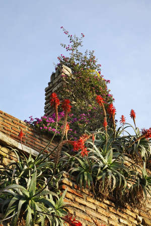 Alcazaba fortress in Malaga. Spainの写真素材