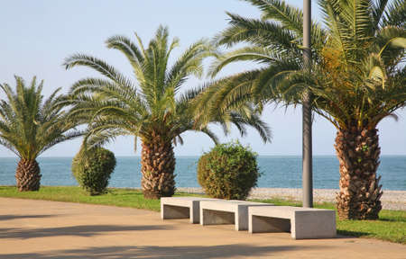 Seafront promenade in Batumi. Autonomous Republic of Adjara. Georgiaの写真素材