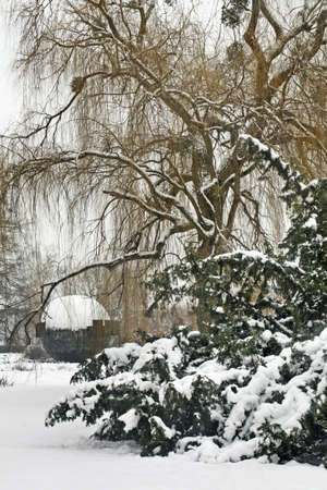 Park in Torun.  Polandの写真素材