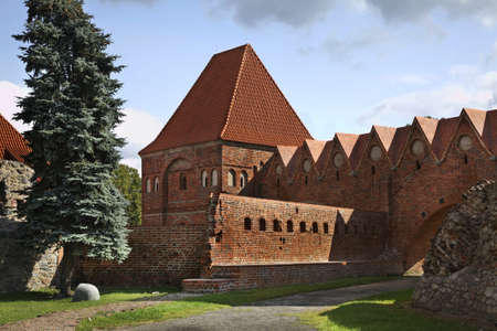 Castle in Torun.  Polandのeditorial素材