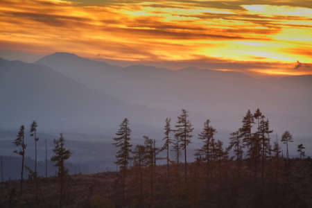 Landscape near Strbske Pleso lake. Slovakiaの写真素材