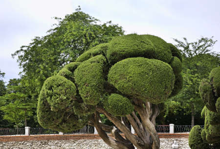 Buen Retiro park (Park of Pleasant Retreat) in Madrid. Spain