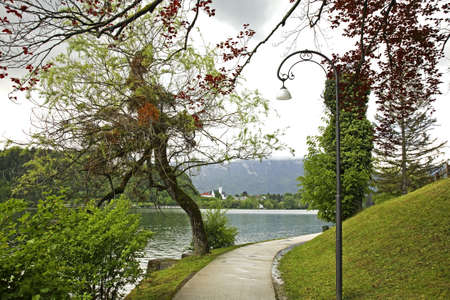 Park in Bled town. Sloveniaの写真素材