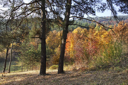 Landscape near Bojnice. Slovakia