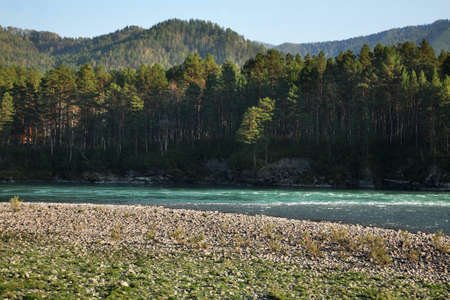 Katun river near Barangol village. Altai Republic. Russia