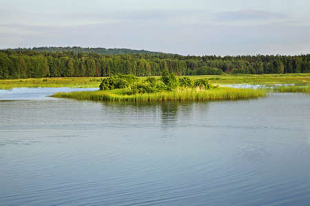 Echo lake near Zwierzyniec. Polandの写真素材