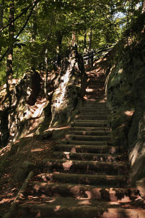 Stone stairs at Bohemian Switzerland  - Elbe Sandstone Mountains near Hrensko. Bohemia. Czech Republicの写真素材