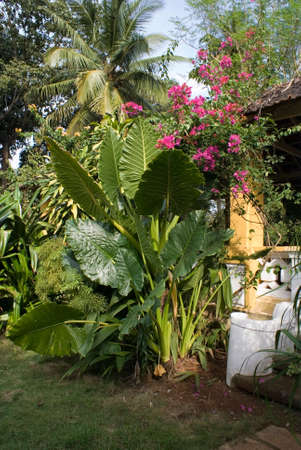 Palacio do Deao near Quepem. Goa. Indiaのeditorial素材