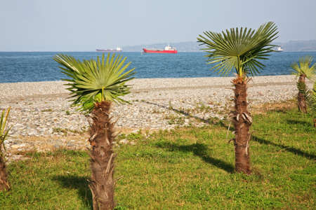 Seafront promenade in Batumi. Autonomous Republic of Adjara. Georgiaの写真素材