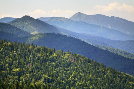 View of High Tatras mountains near Zakopane. Polandの写真素材