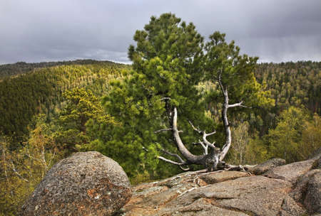 Stolby Nature Sanctuary near Krasnoyarsk. Russia