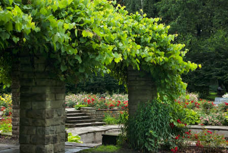 View of park in Zywiec. Polandの写真素材