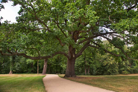 Park von Muskau (Park Muzakowski) near Bad Muskau.