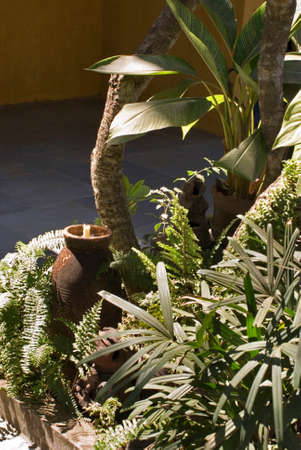 Park near house of artist and architect at north Goa. Indiaのeditorial素材