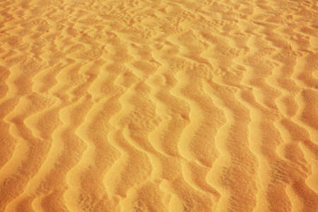 Dunes near Mui Ne. Vietnam