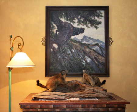 Hotel Alpendomizil Neuhaus in Mayrhofen. Austriaのeditorial素材