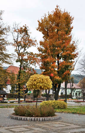 Main square in Ustrzyki Dolne. Polandのeditorial素材