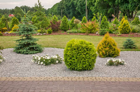 Garden 2 near Urzedow town. Polandの写真素材