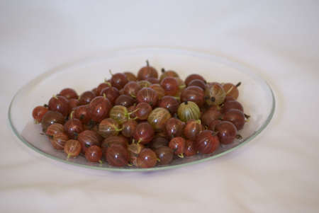 gooseberries on the dishesの写真素材