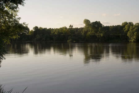 Forest near Riverの写真素材