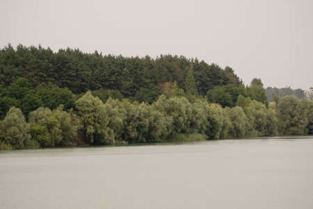 Forest under river