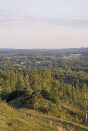 forestの写真素材