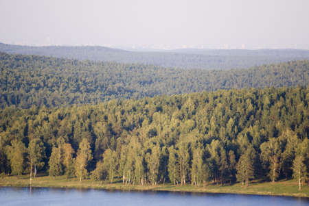 village near forestの写真素材