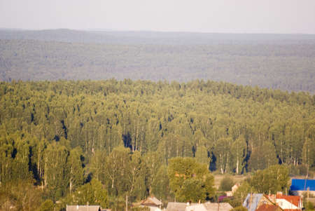 village near forestの写真素材