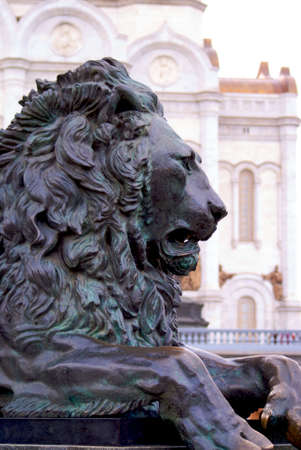 monument for lion in Moscowの写真素材