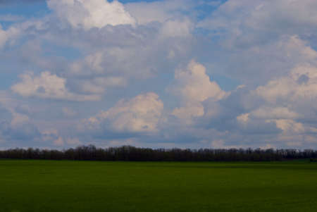 green field and sky