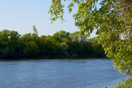 deep lake near rocks and treeの写真素材