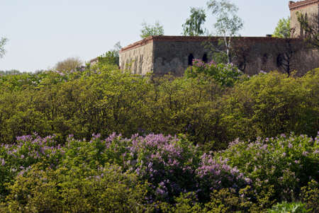 old ruins in Russiaの写真素材