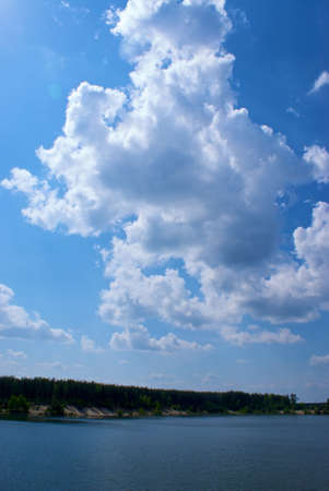 tree near lake with blue skyの写真素材